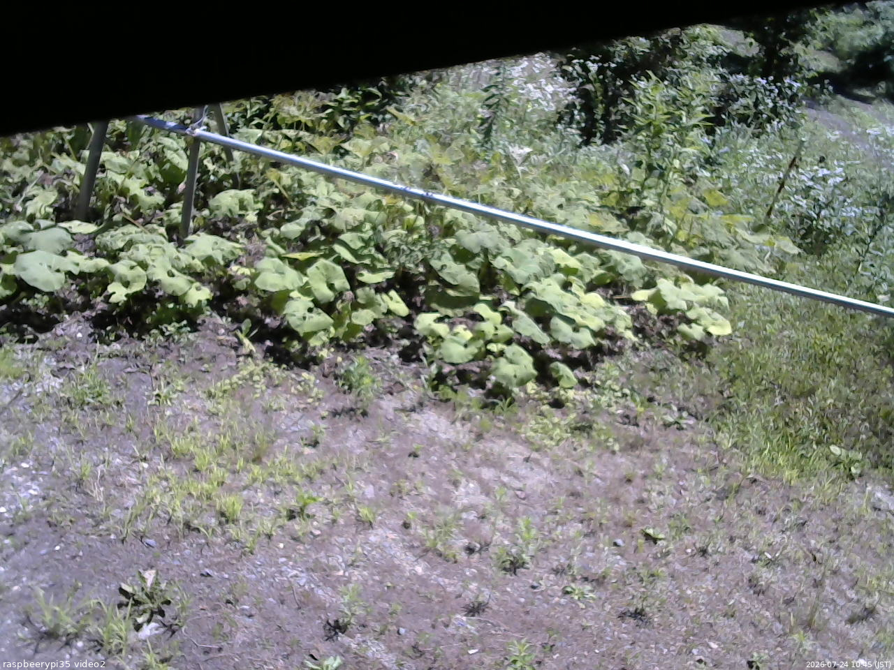 長野県菅平高原 ゆたか山荘 駐車場 2026/07/24 10:45