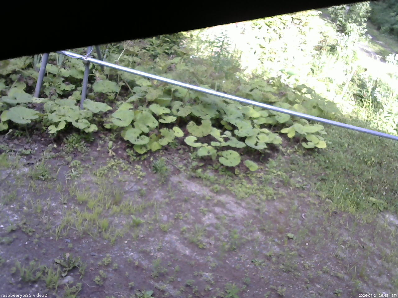 長野県菅平高原 ゆたか山荘 駐車場 2026/07/24 16:45