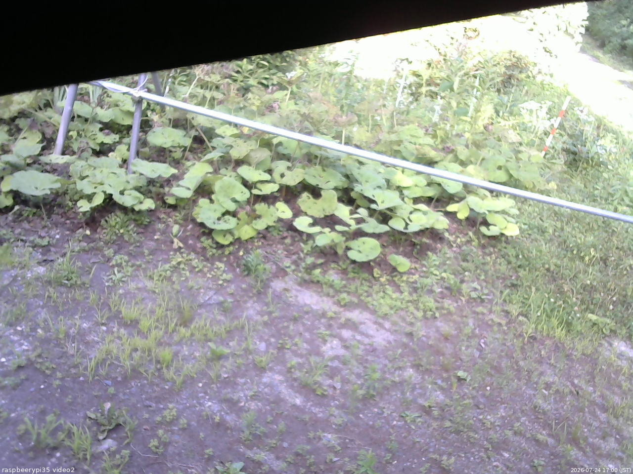 長野県菅平高原 ゆたか山荘 駐車場 2026/07/24 17:00
