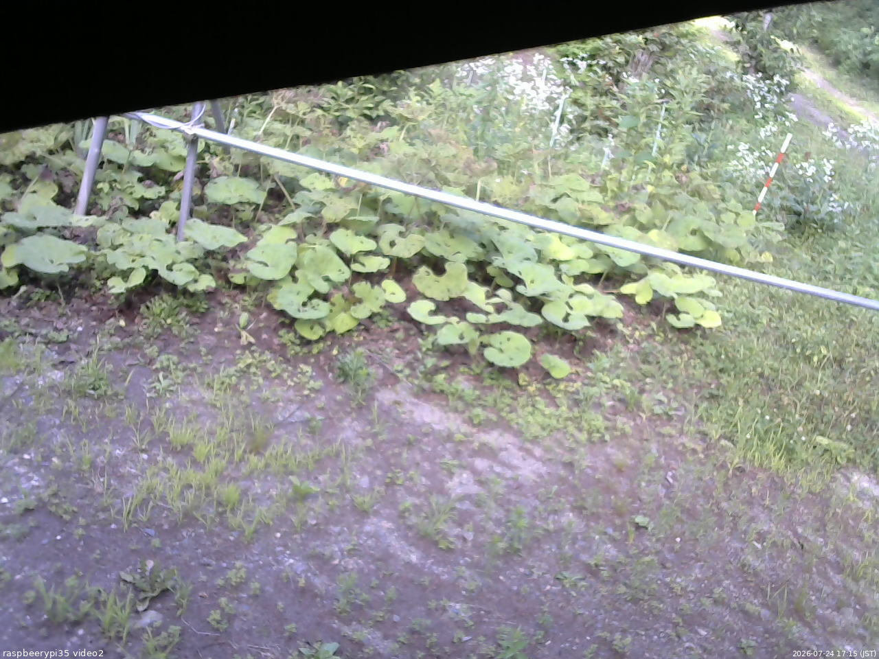 長野県菅平高原 ゆたか山荘 駐車場 2026/07/24 17:15