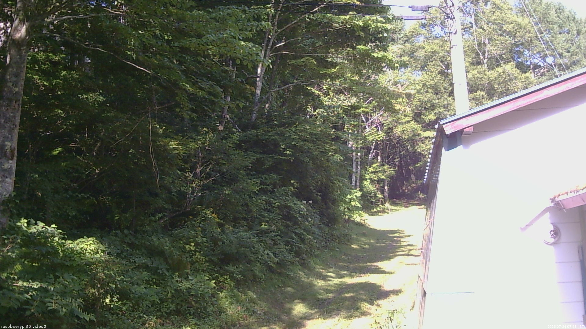 長野県菅平高原 ゆたか山荘 ゆたか山荘 2026/07/24 07:45