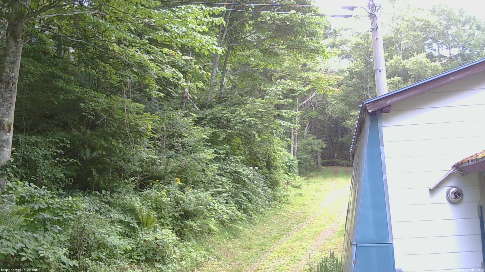長野県菅平高原 ゆたか山荘 ゆたか山荘 2026/07/24 13:00