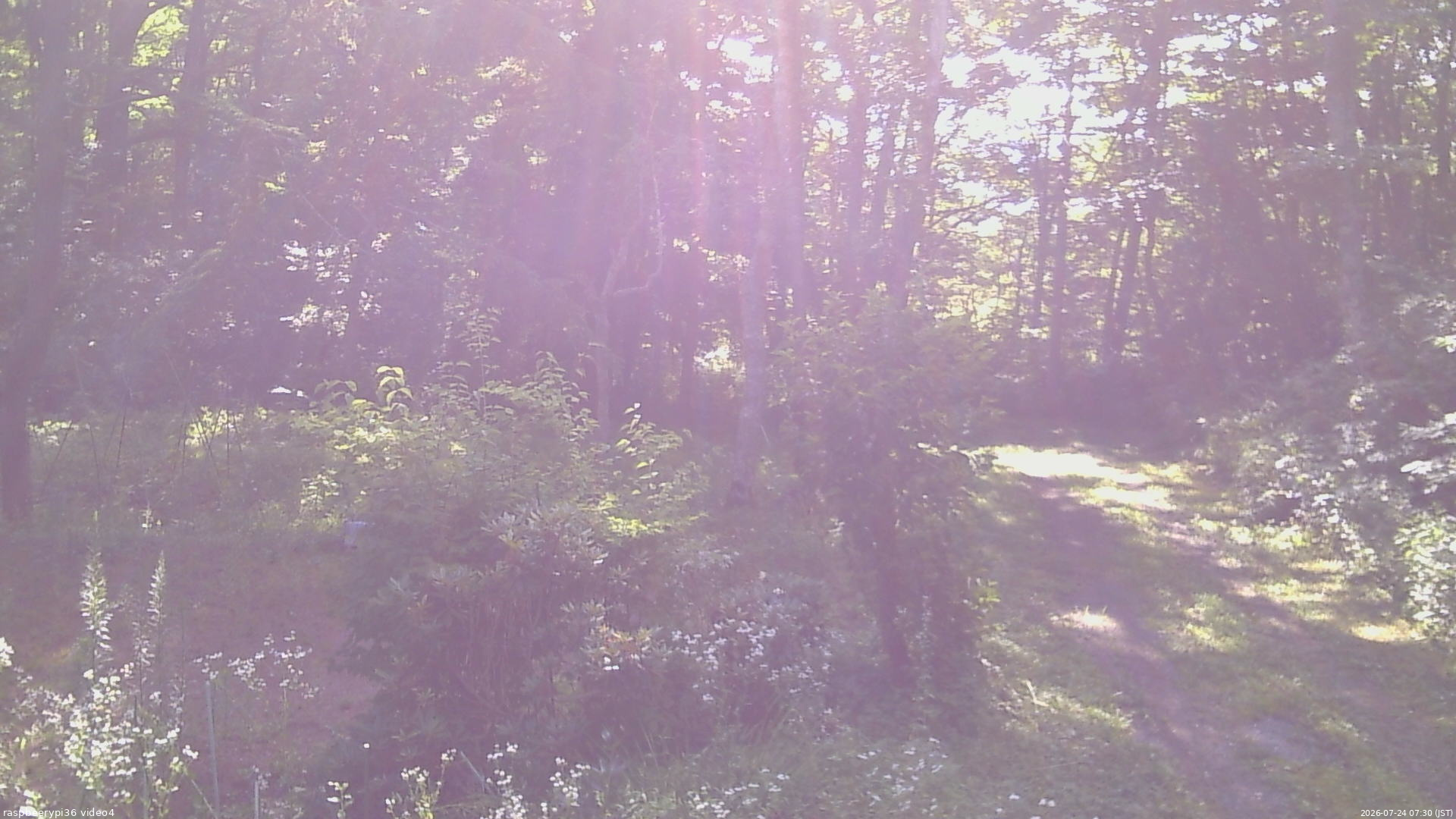 長野県菅平高原 ゆたか山荘 坂上 2026/07/24 07:30