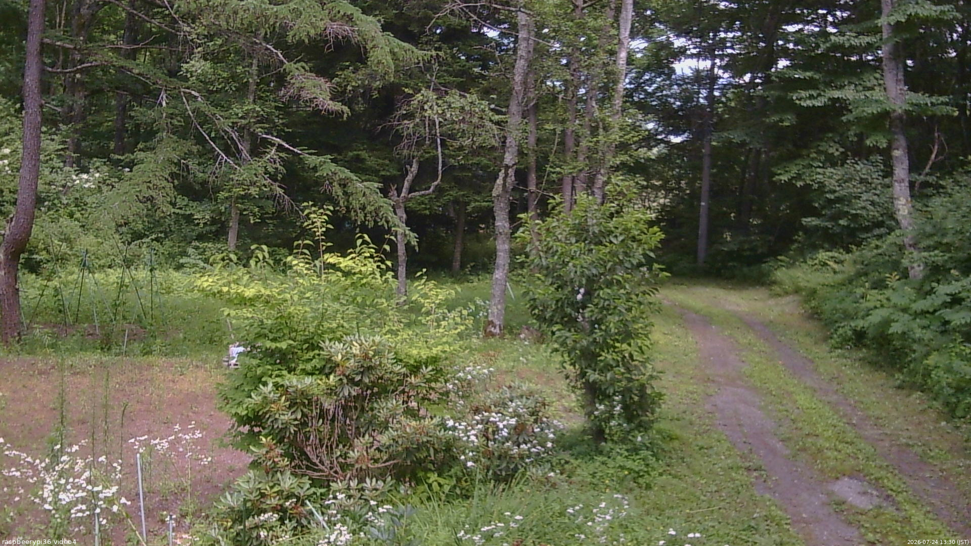 長野県菅平高原 ゆたか山荘 坂上 2026/07/24 13:30