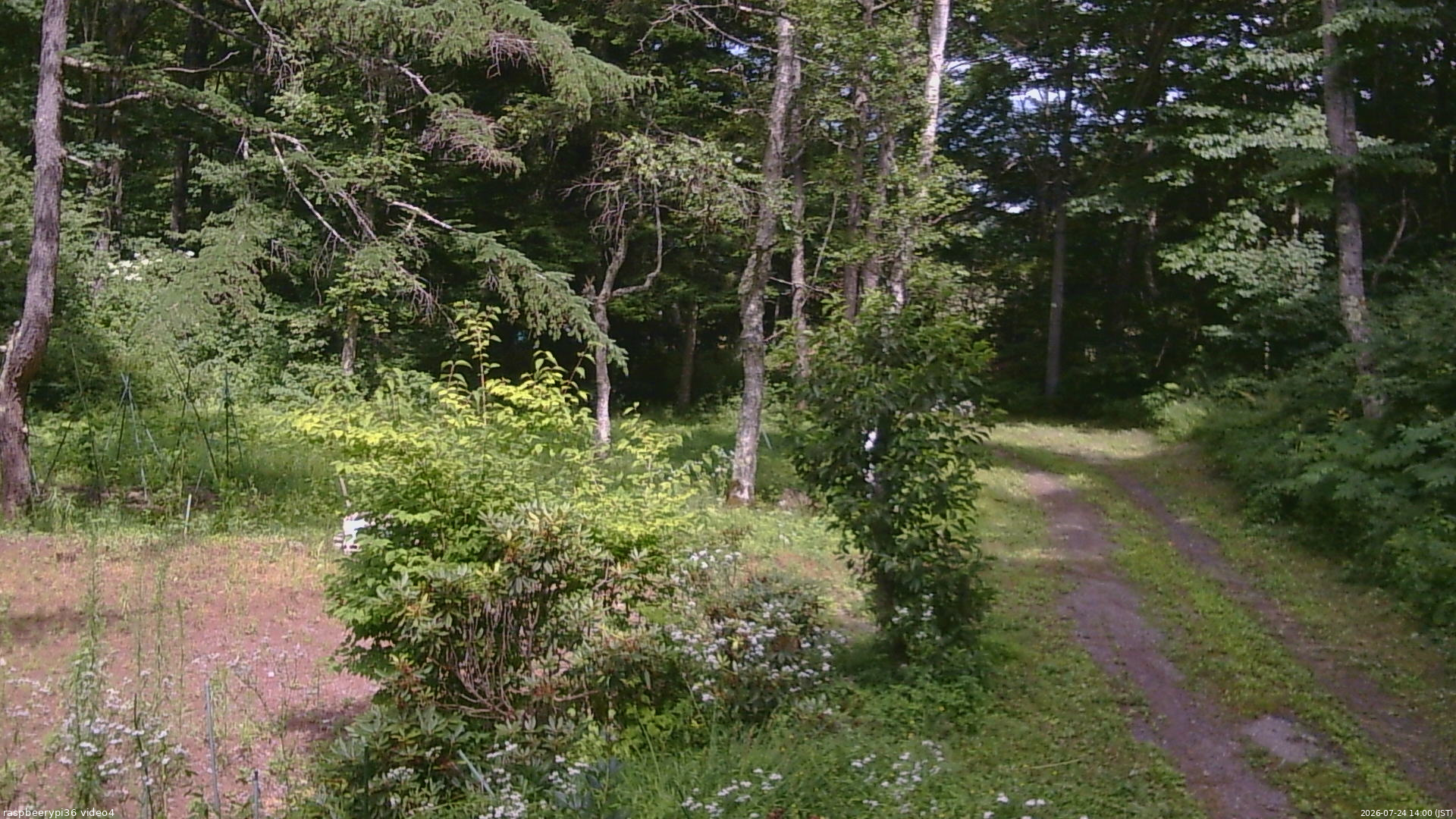 長野県菅平高原 ゆたか山荘 坂上 2026/07/24 14:00
