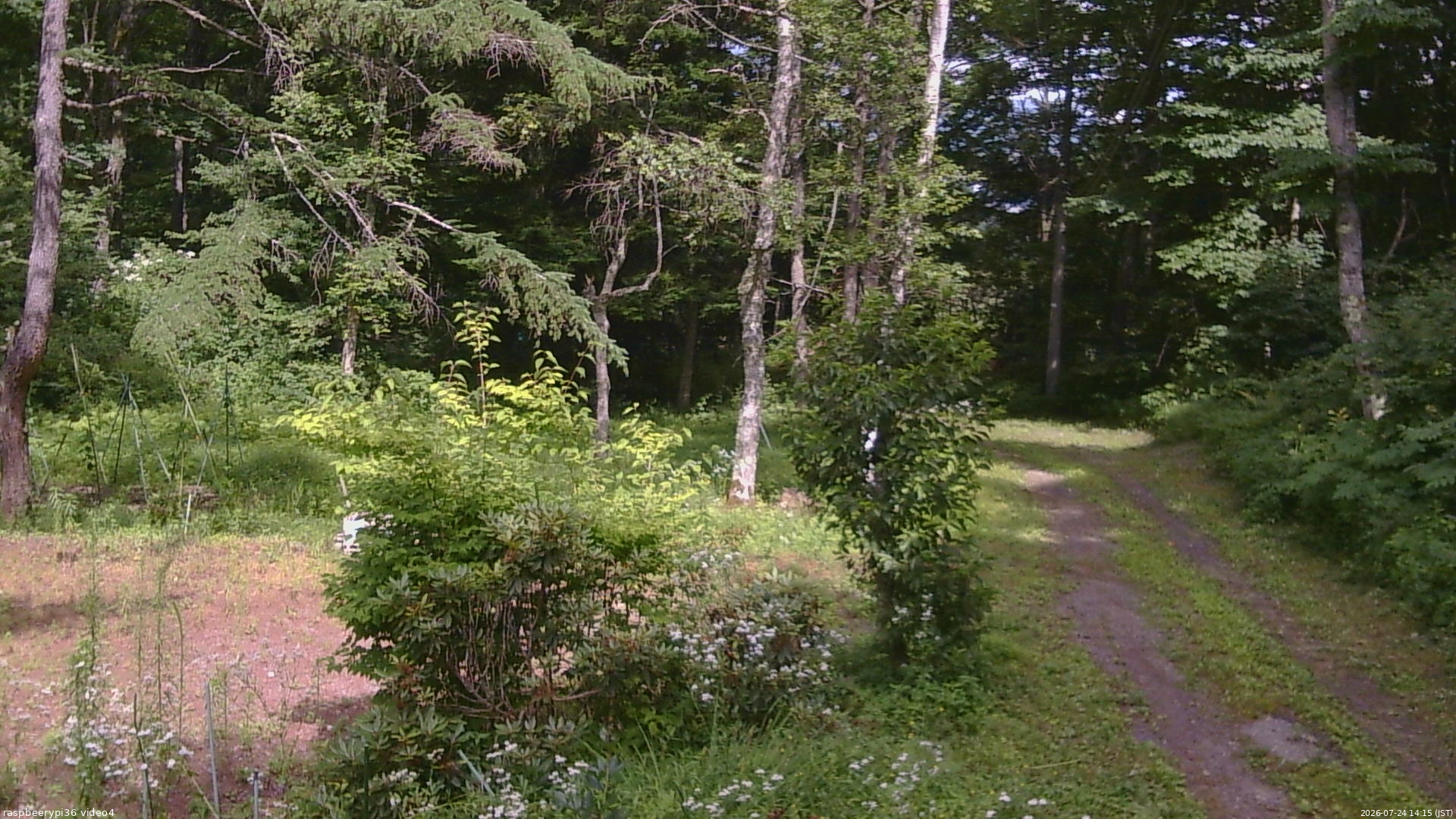 長野県菅平高原 ゆたか山荘 坂上 2026/07/24 14:15