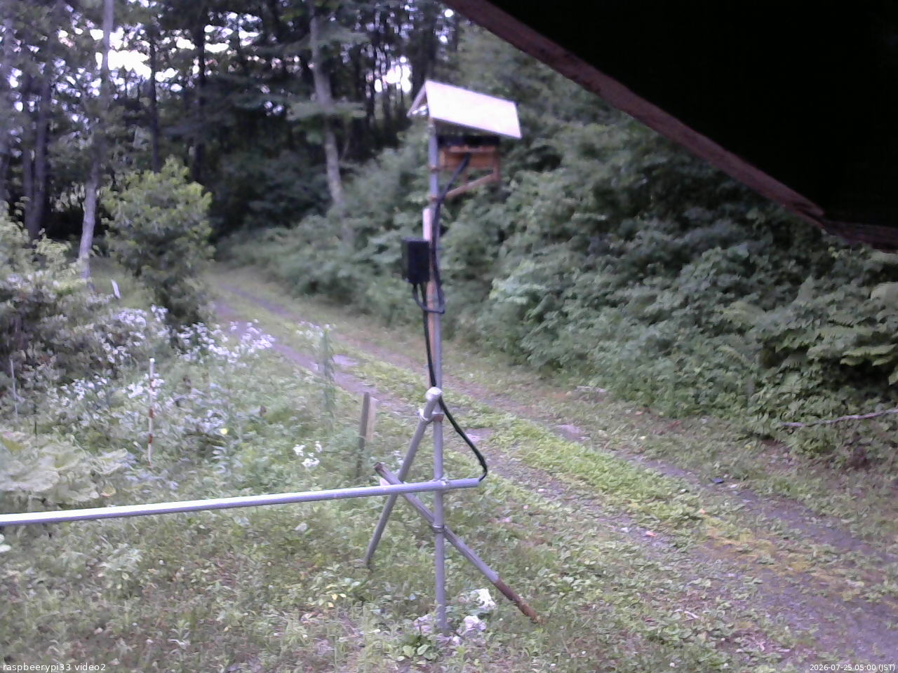 長野県菅平高原 ゆたか山荘 南側 2026/07/25 05:00