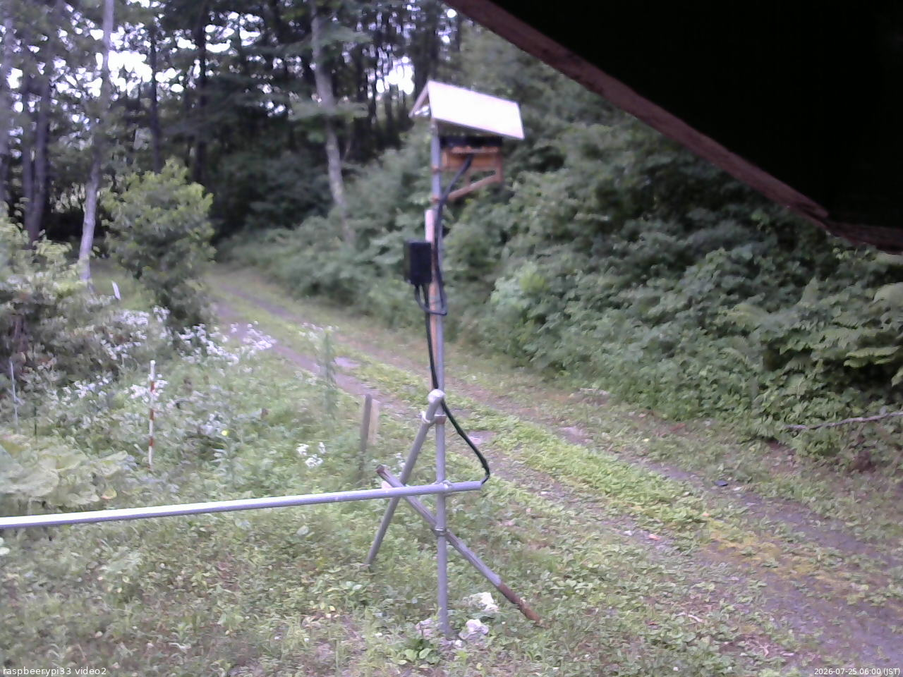 長野県菅平高原 ゆたか山荘 南側 2026/07/25 06:00