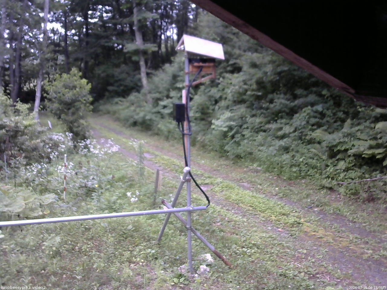 長野県菅平高原 ゆたか山荘 南側 2026/07/25 06:15