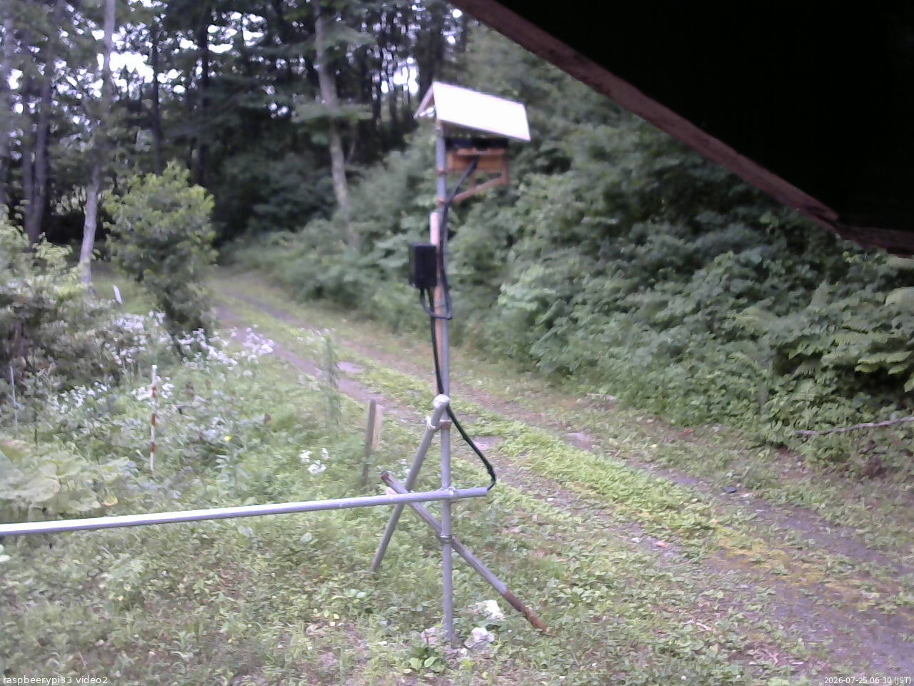 長野県菅平高原 ゆたか山荘 南側 2026/07/25 06:30