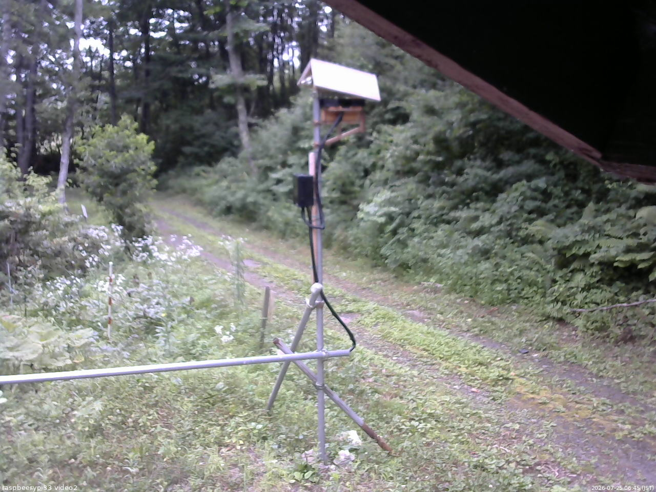 長野県菅平高原 ゆたか山荘 南側 2026/07/25 06:45