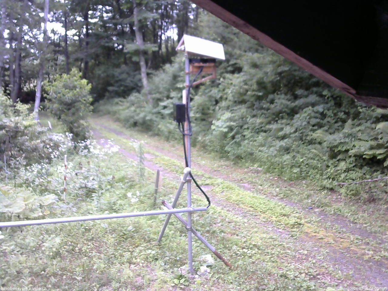 長野県菅平高原 ゆたか山荘 南側 2026/07/25 07:00