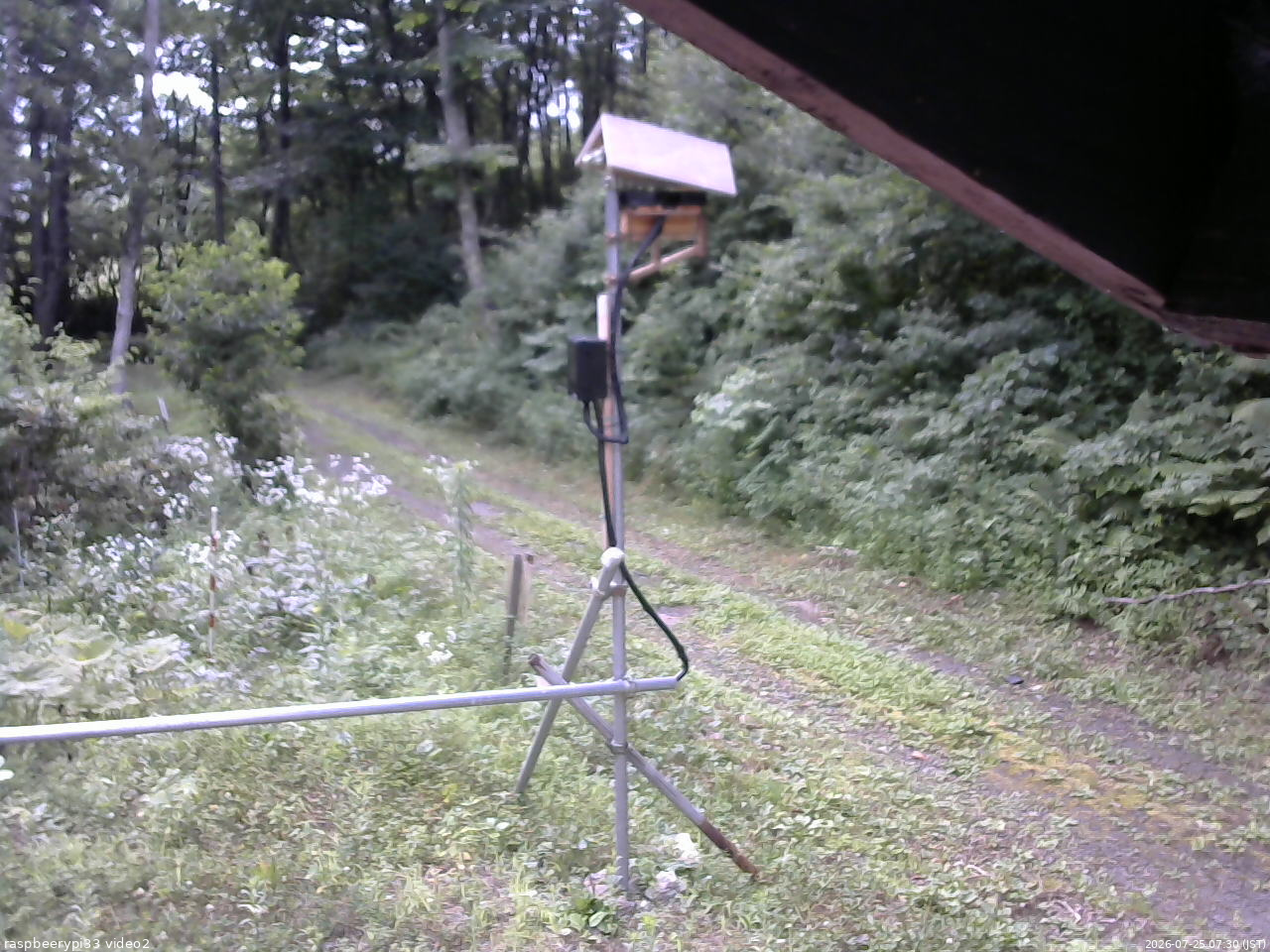 長野県菅平高原 ゆたか山荘 南側 2026/07/25 07:30