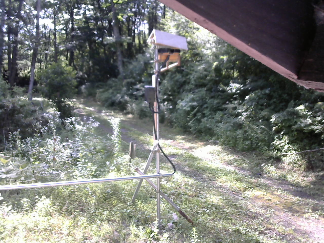 長野県菅平高原 ゆたか山荘 南側 2026/07/25 08:00