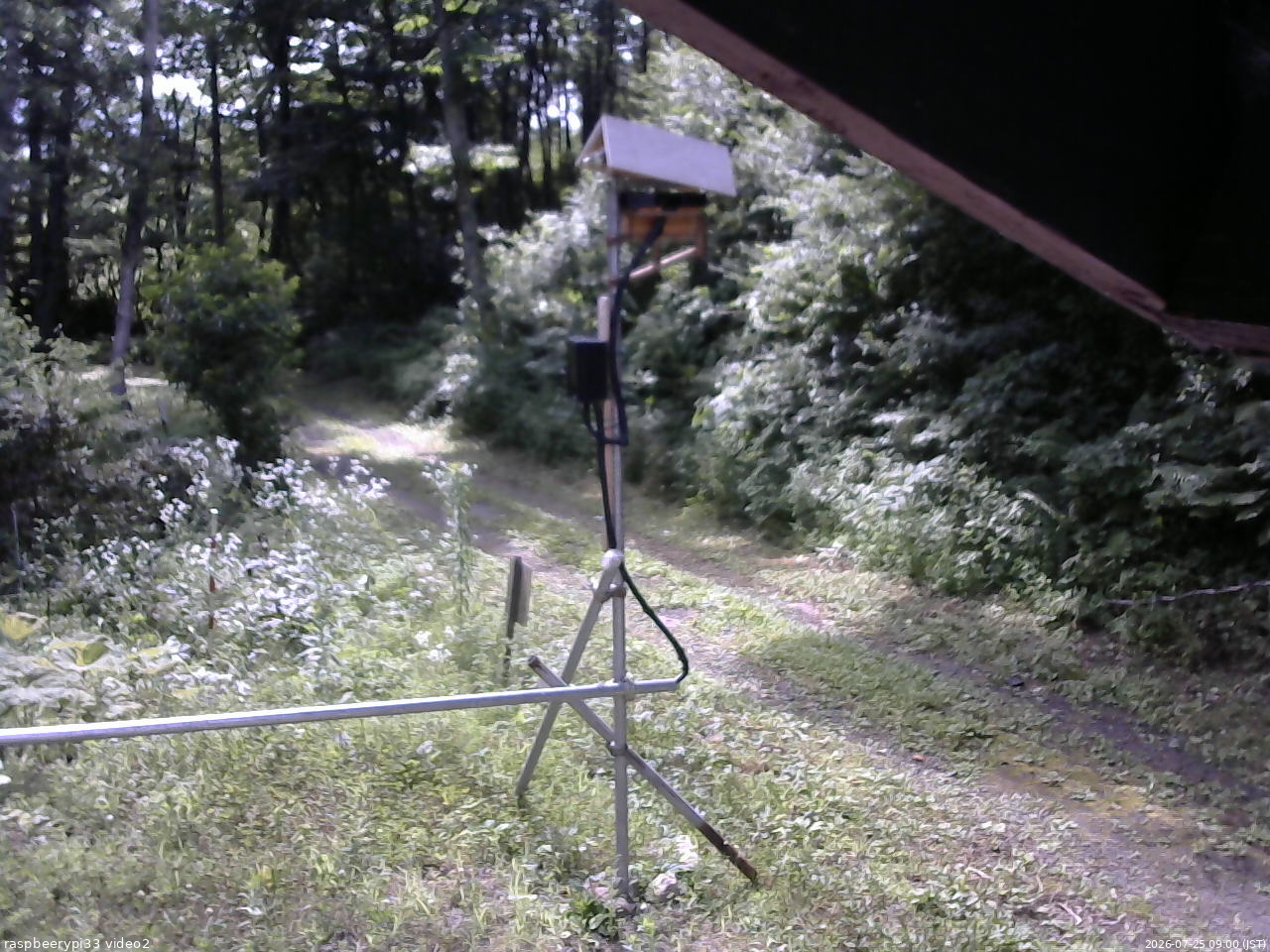 長野県菅平高原 ゆたか山荘 南側 2026/07/25 09:00