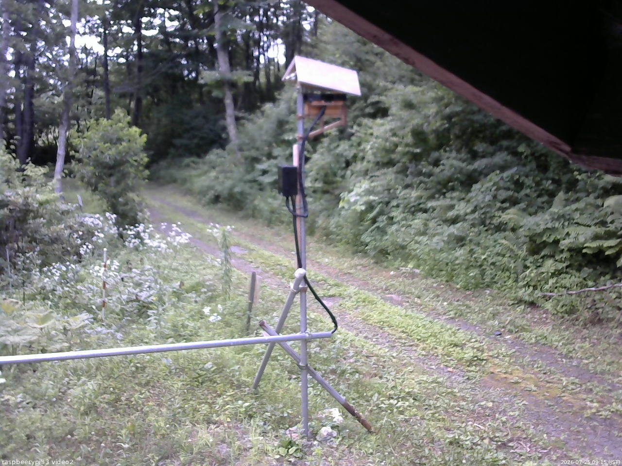 長野県菅平高原 ゆたか山荘 南側 2026/07/25 09:15