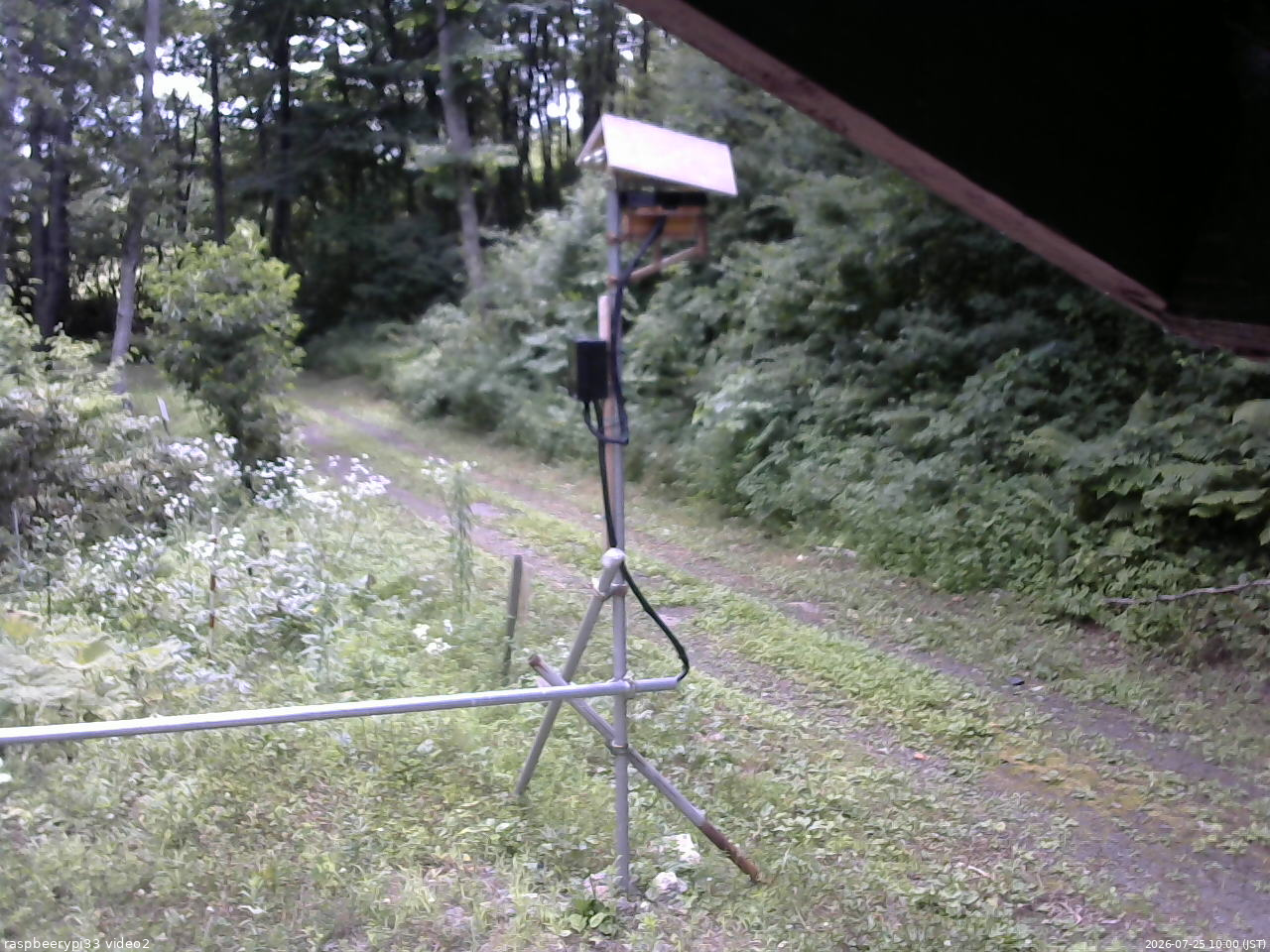 長野県菅平高原 ゆたか山荘 南側 2026/07/25 10:00