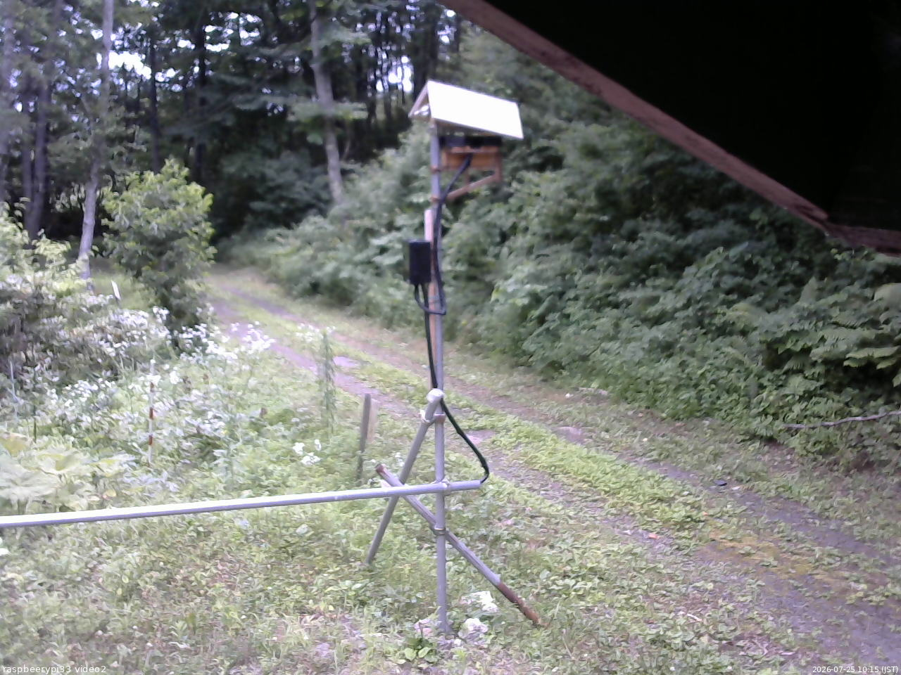 長野県菅平高原 ゆたか山荘 南側 2026/07/25 10:15