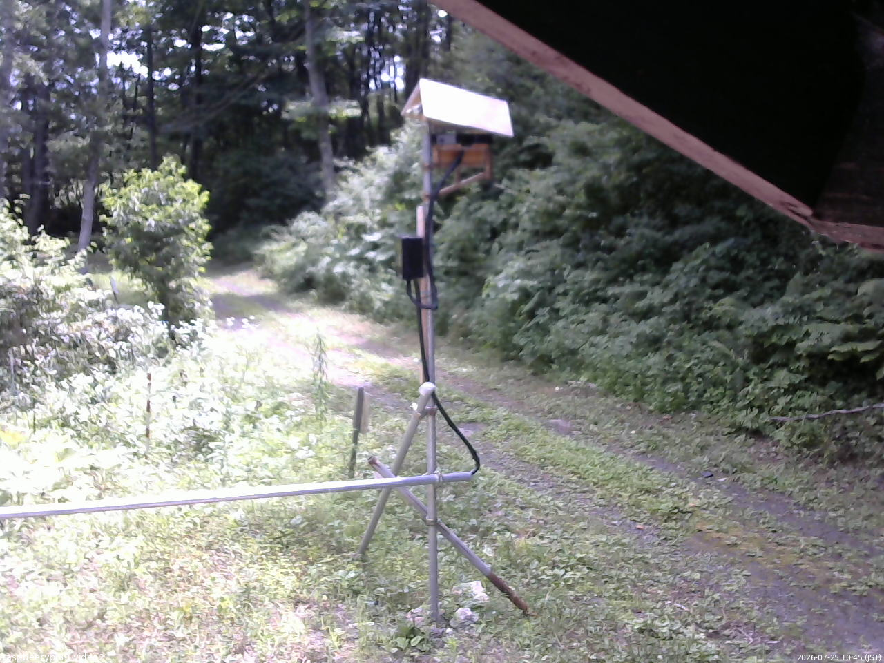 長野県菅平高原 ゆたか山荘 南側 2026/07/25 10:45