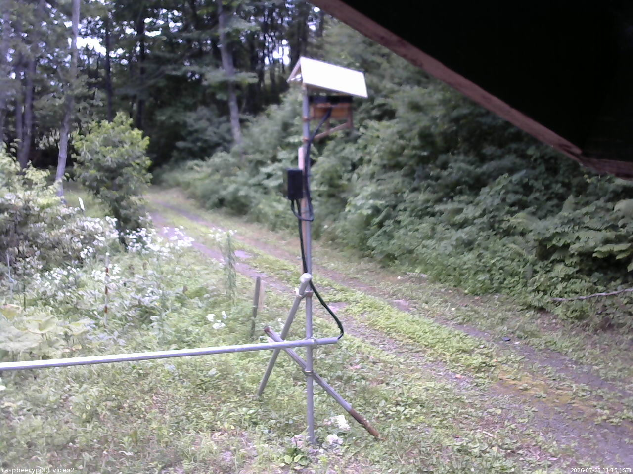 長野県菅平高原 ゆたか山荘 南側 2026/07/25 11:15
