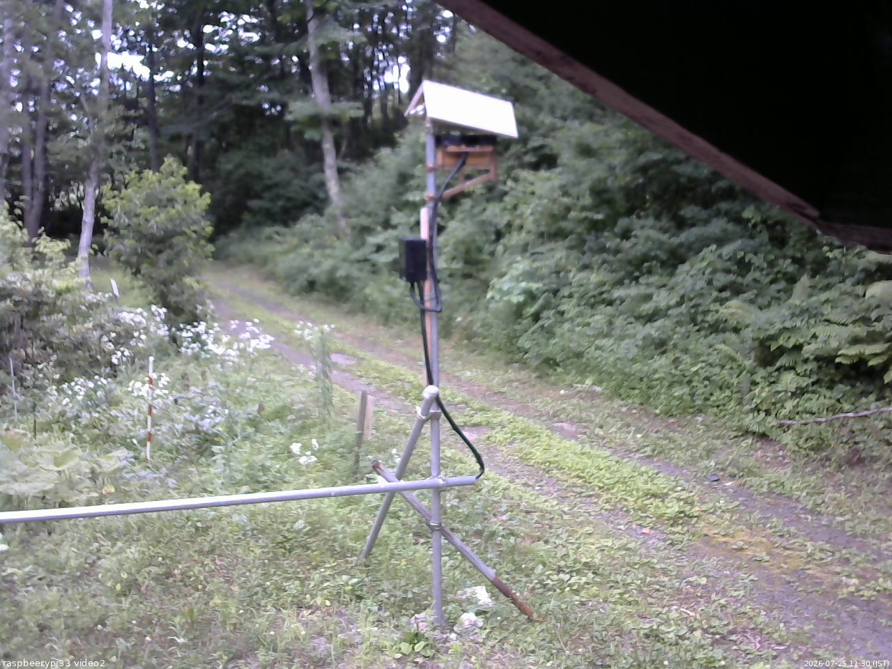 長野県菅平高原 ゆたか山荘 南側 2026/07/25 11:30