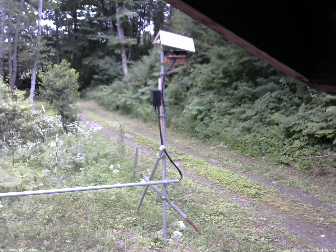 長野県菅平高原 ゆたか山荘 南側 2026/07/25 11:45