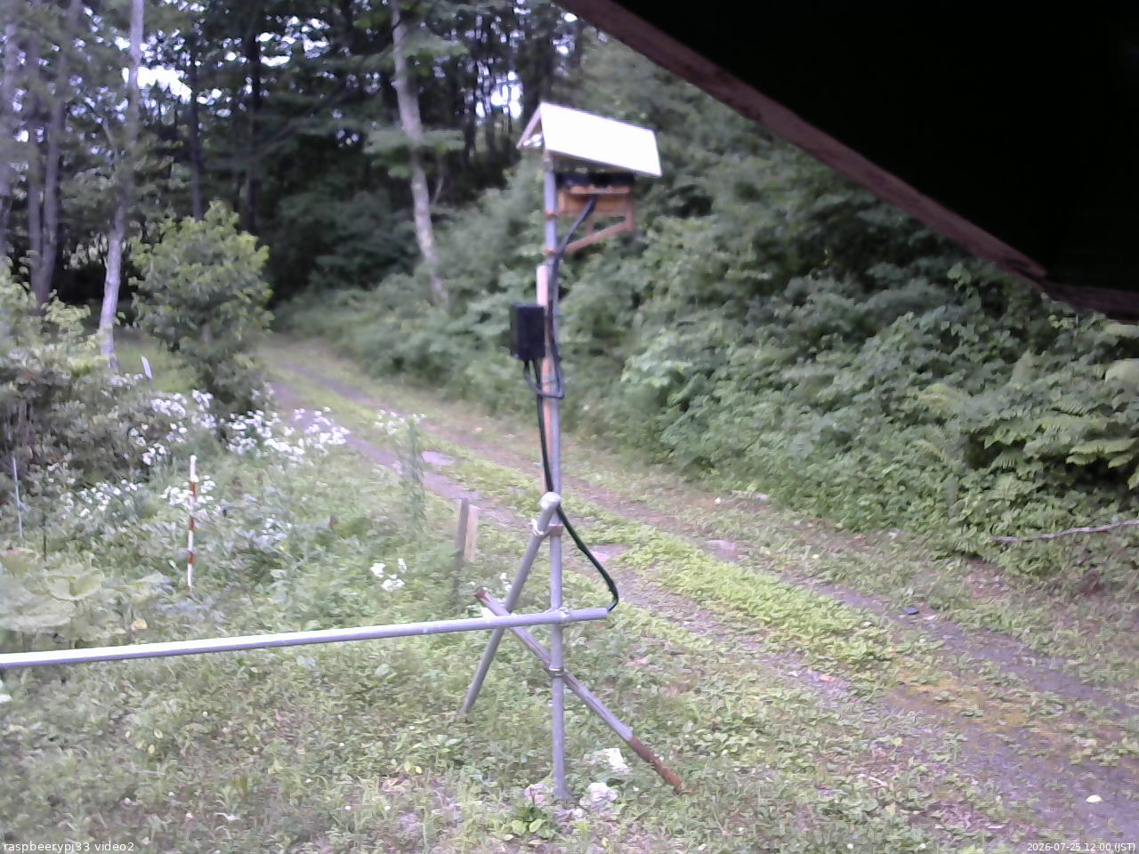 長野県菅平高原 ゆたか山荘 南側 2026/07/25 12:00
