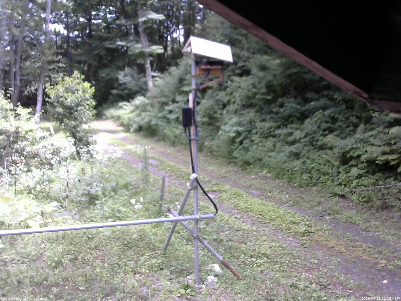 長野県菅平高原 ゆたか山荘 南側 2026/07/25 12:15