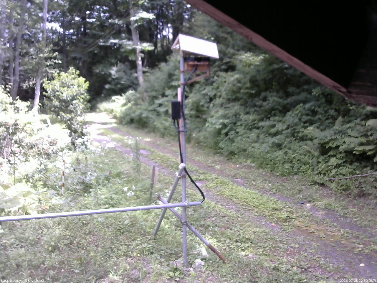 長野県菅平高原 ゆたか山荘 南側 2026/07/25 12:30
