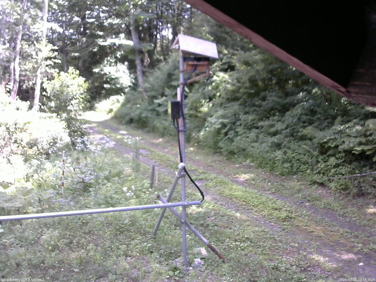 長野県菅平高原 ゆたか山荘 南側 2026/07/25 13:15