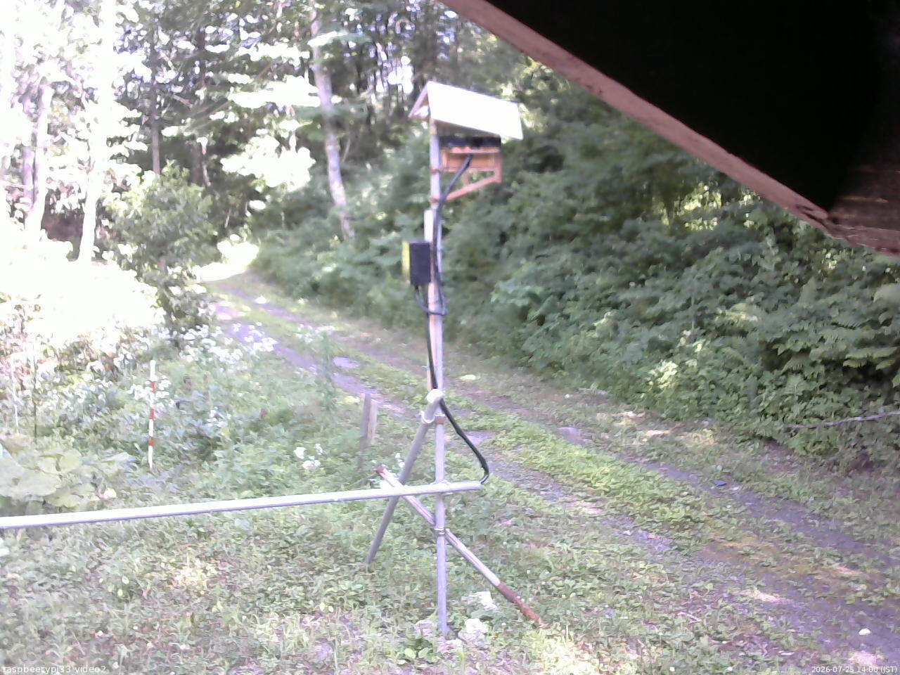 長野県菅平高原 ゆたか山荘 南側 2026/07/25 14:00