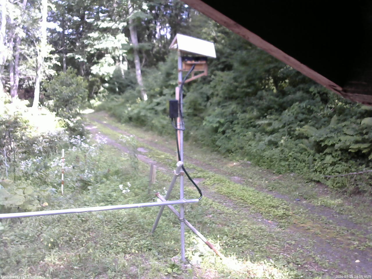 長野県菅平高原 ゆたか山荘 南側 2026/07/25 14:15