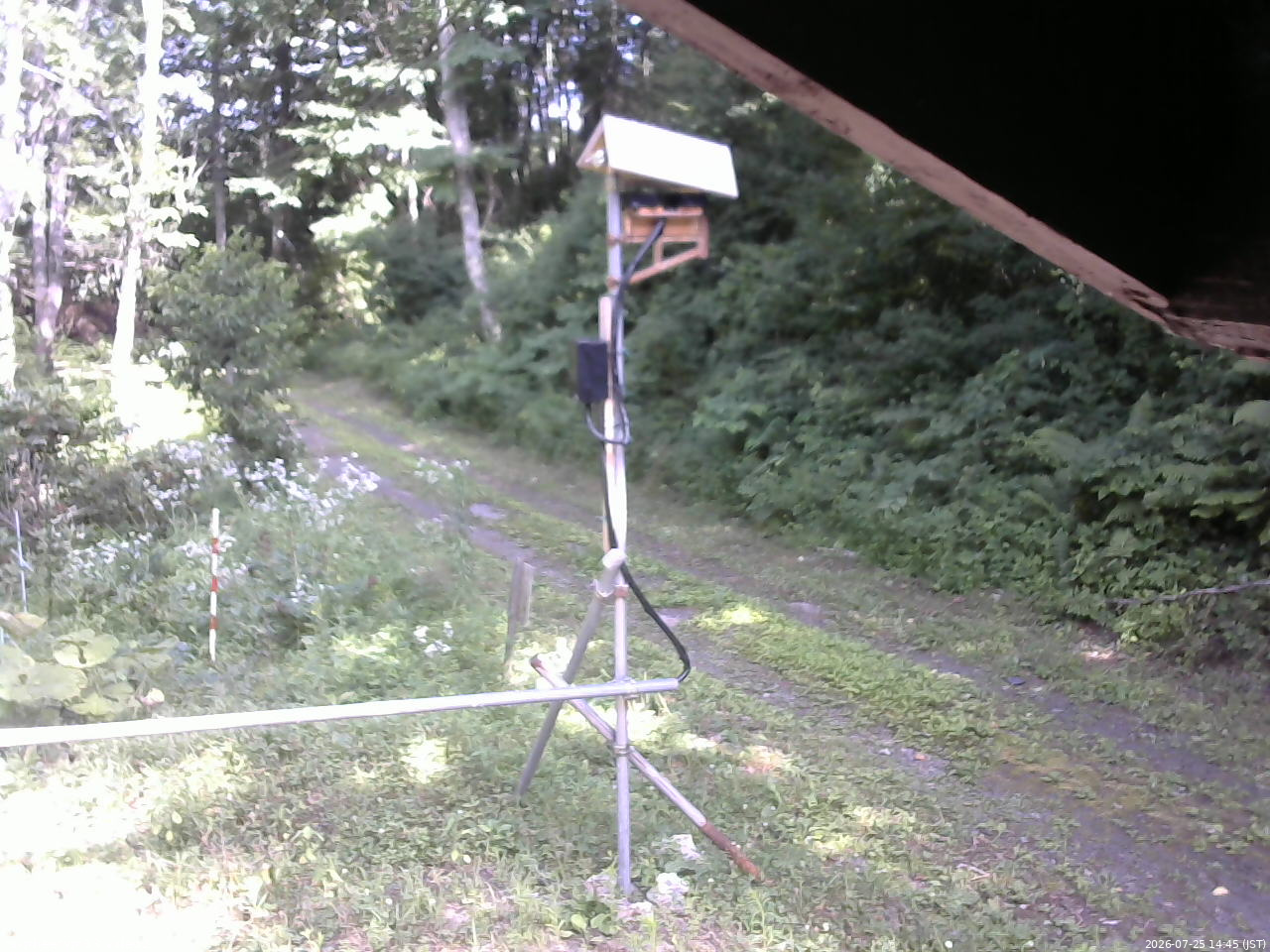 長野県菅平高原 ゆたか山荘 南側 2026/07/25 14:45
