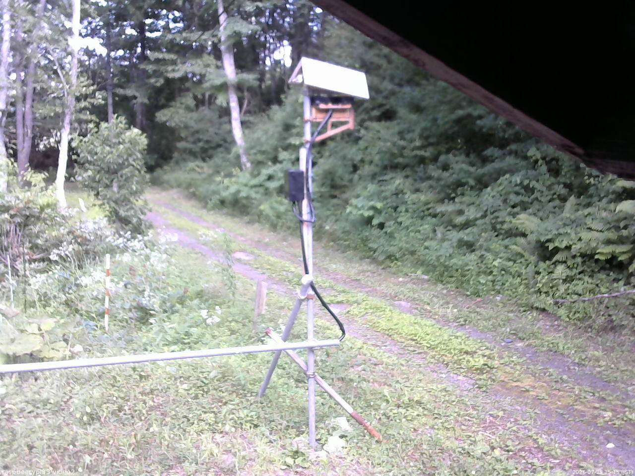 長野県菅平高原 ゆたか山荘 南側 2026/07/25 15:15