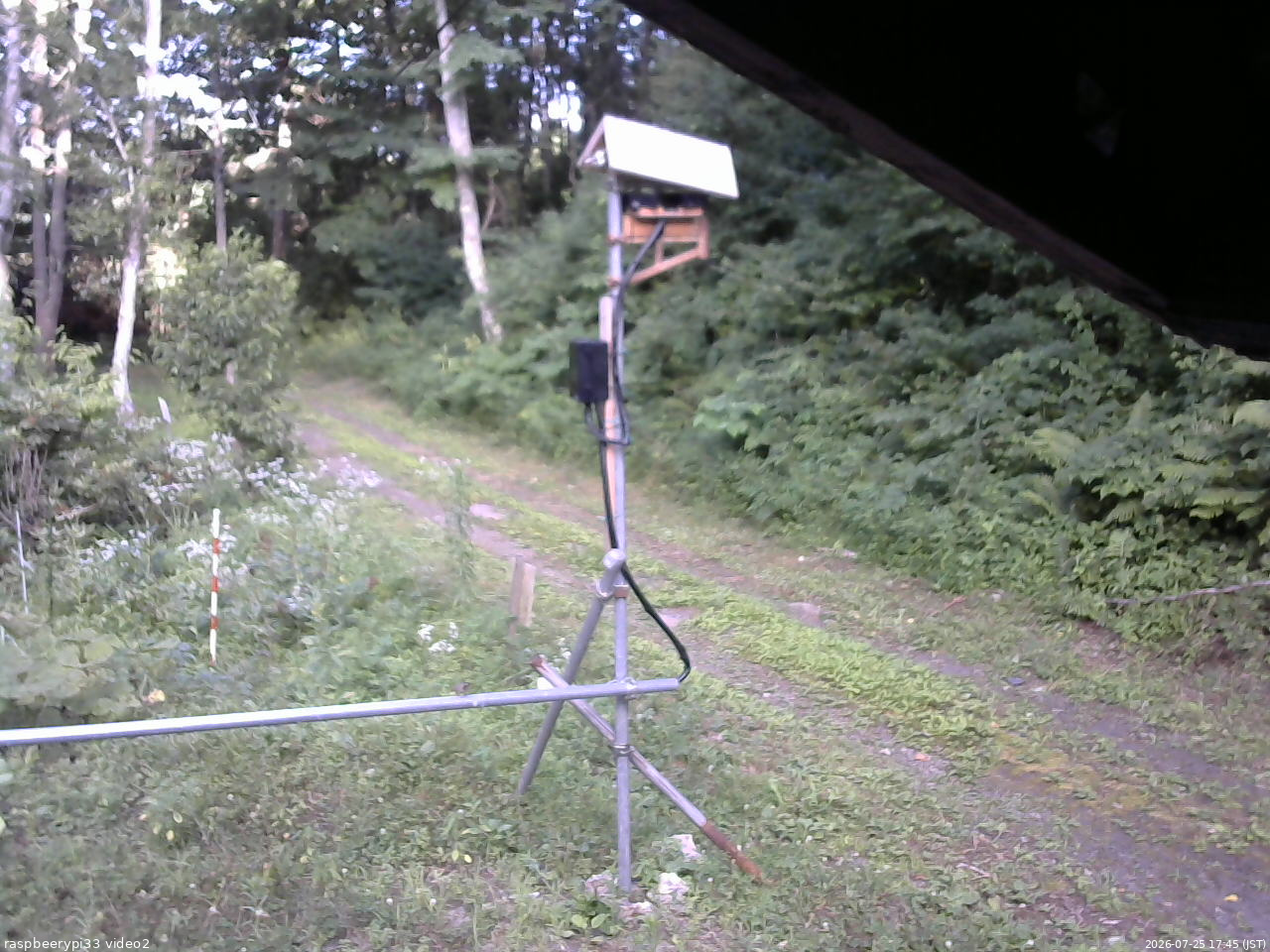 長野県菅平高原 ゆたか山荘 南側 2026/07/25 17:45