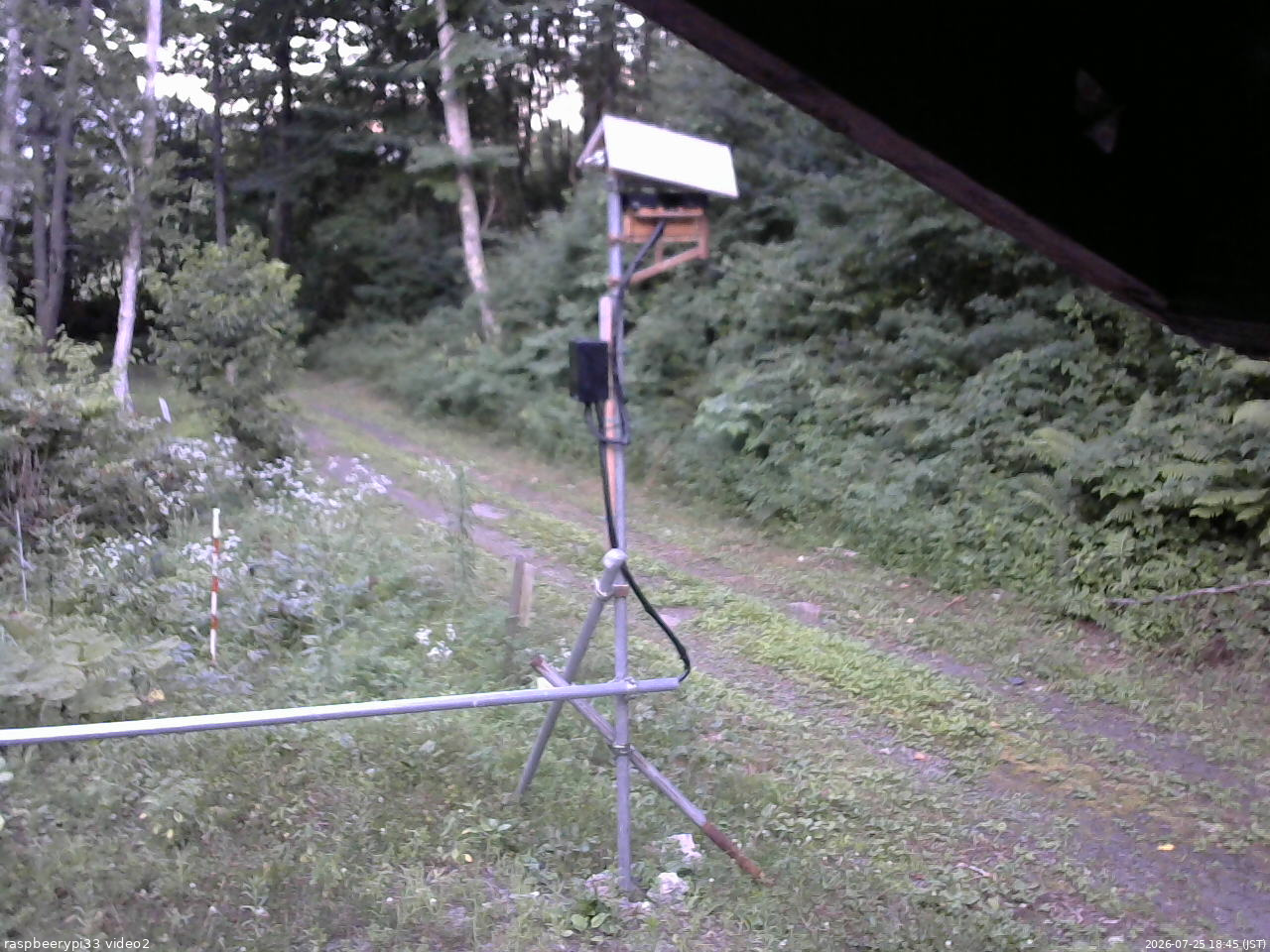 長野県菅平高原 ゆたか山荘 南側 2026/07/25 18:45