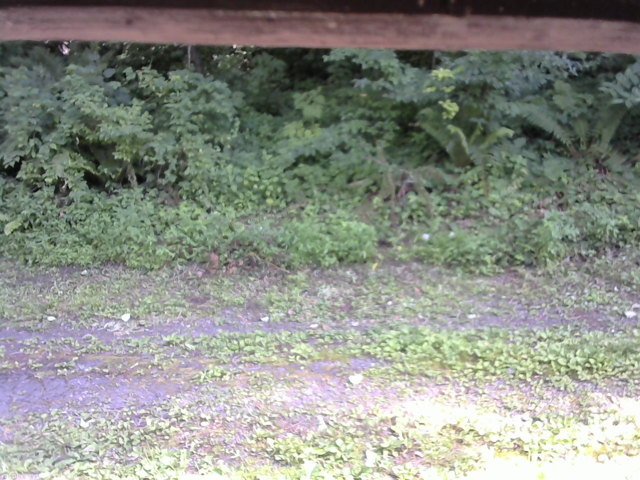 長野県菅平高原 ゆたか山荘 東側(坂下) 2026/07/25 14:45