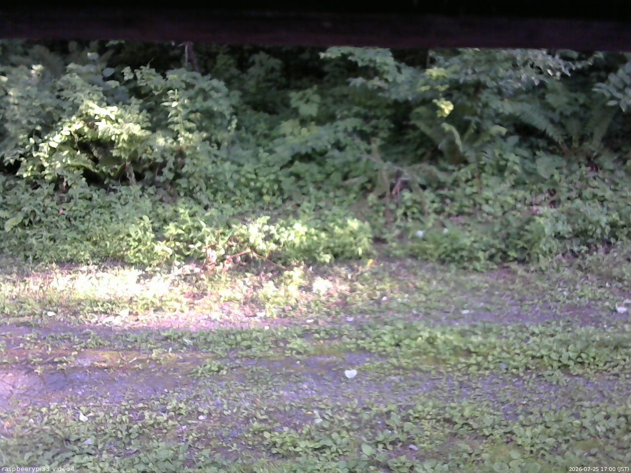 長野県菅平高原 ゆたか山荘 東側(坂下) 2026/07/25 17:00