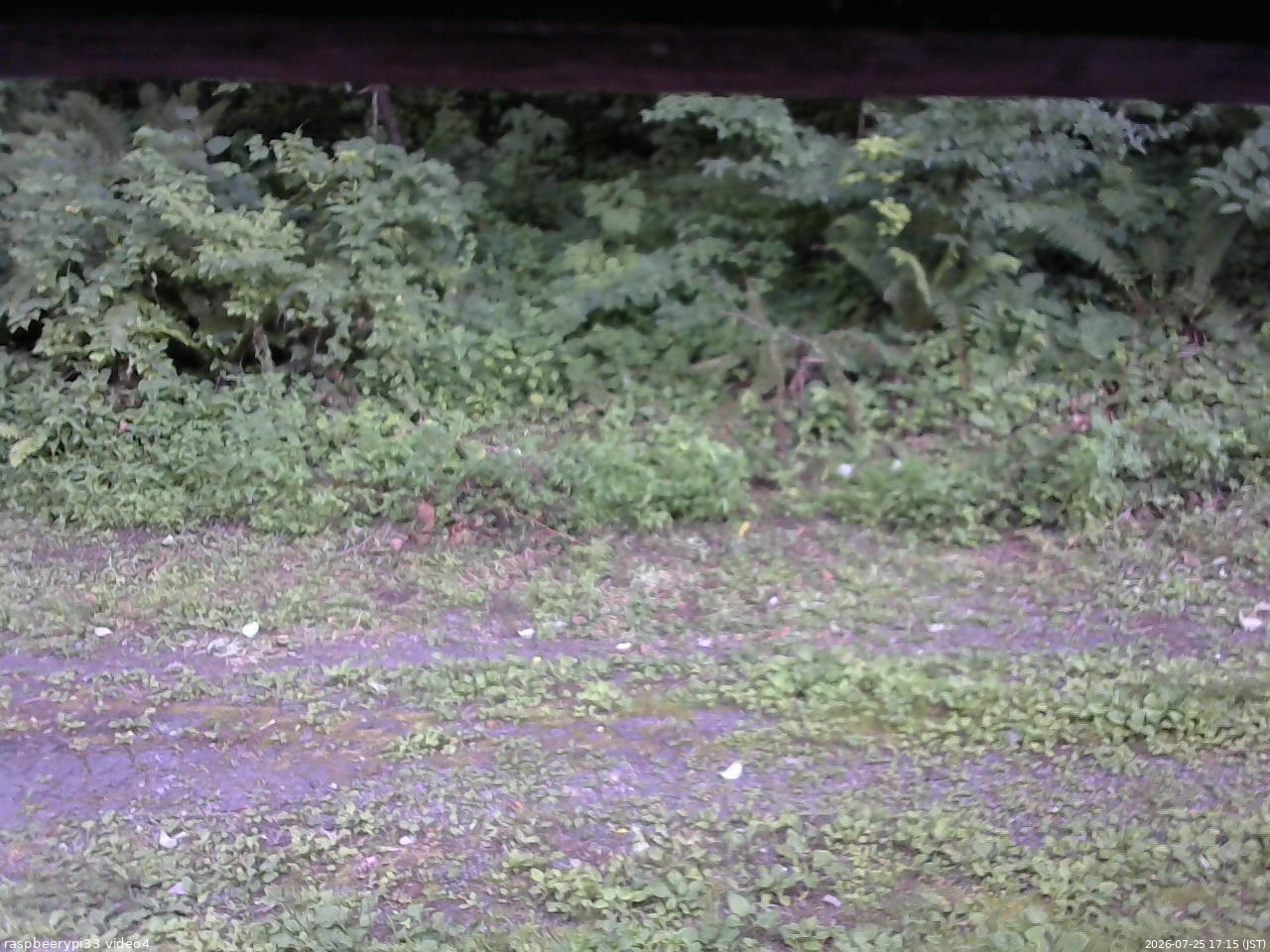 長野県菅平高原 ゆたか山荘 東側(坂下) 2026/07/25 17:15