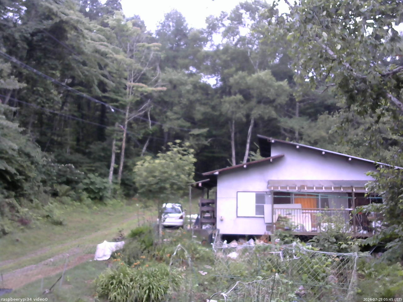 長野県菅平高原 ゆたか山荘 西側(坂上) 2026/07/25 05:45