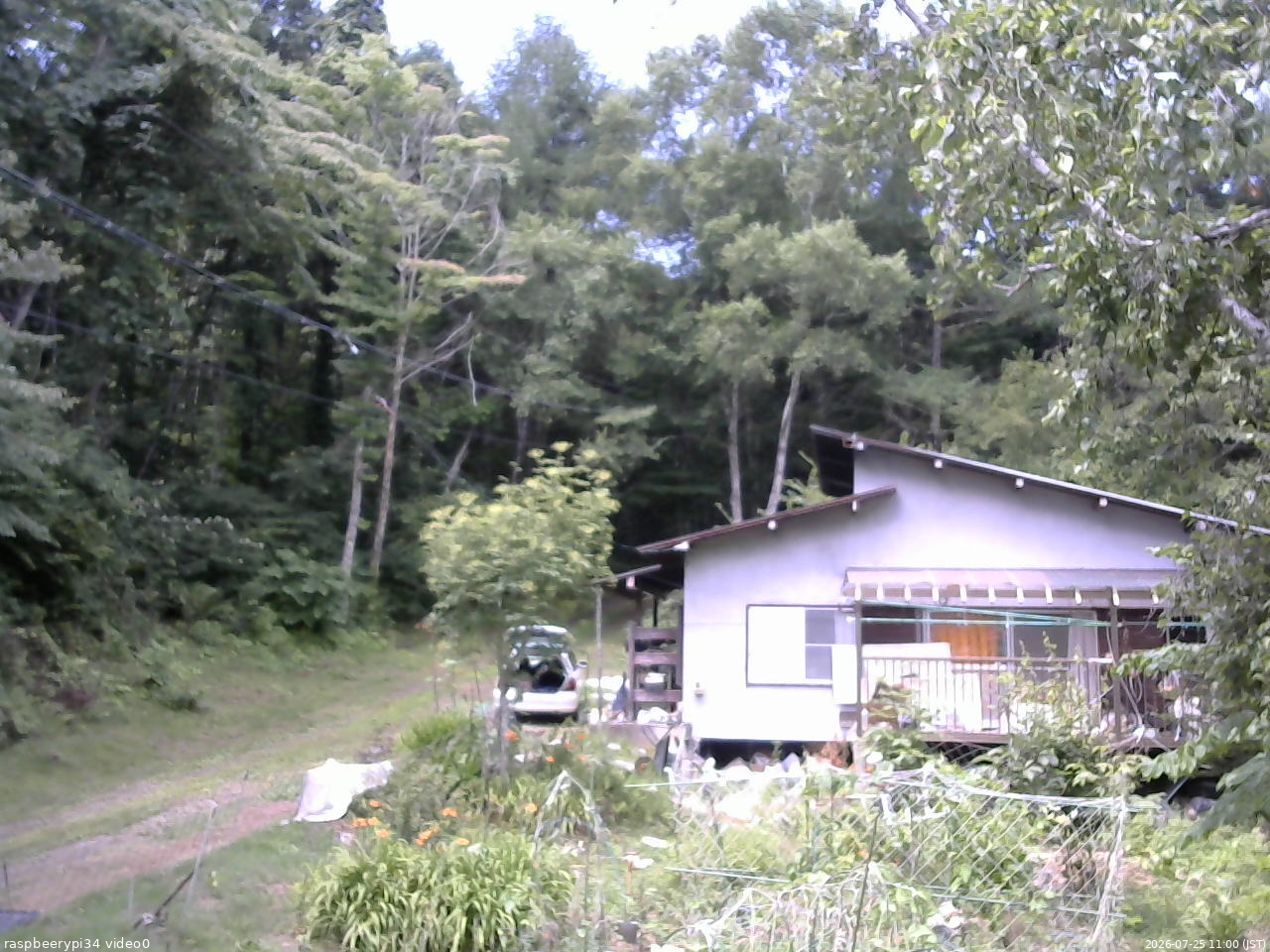 長野県菅平高原 ゆたか山荘 西側(坂上) 2026/07/25 11:00