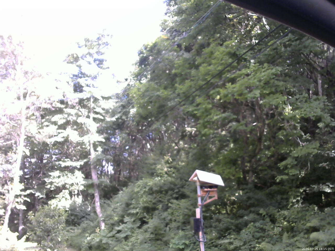 長野県菅平高原 ゆたか山荘 温度計 2026/07/25 14:15