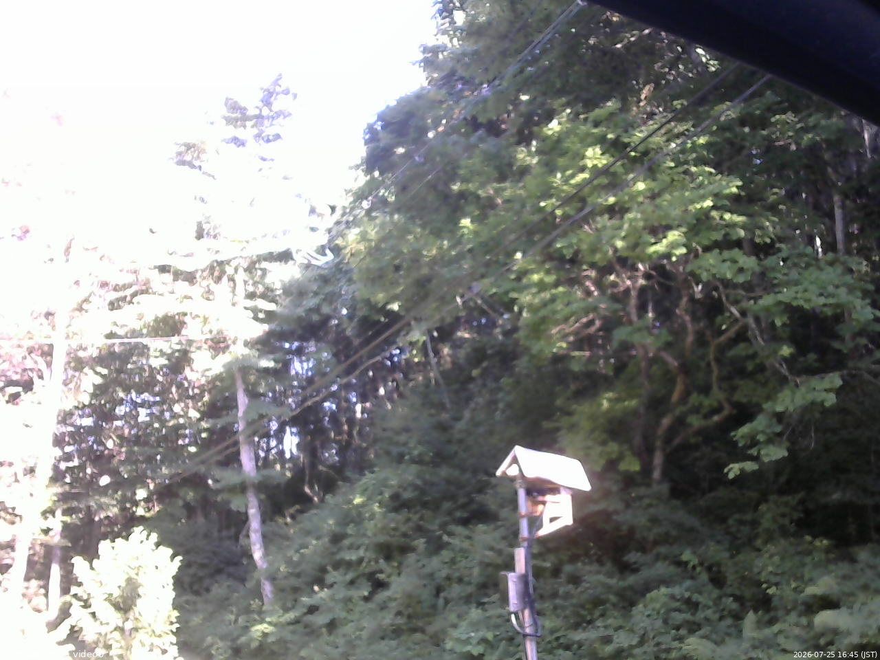長野県菅平高原 ゆたか山荘 温度計 2026/07/25 16:45