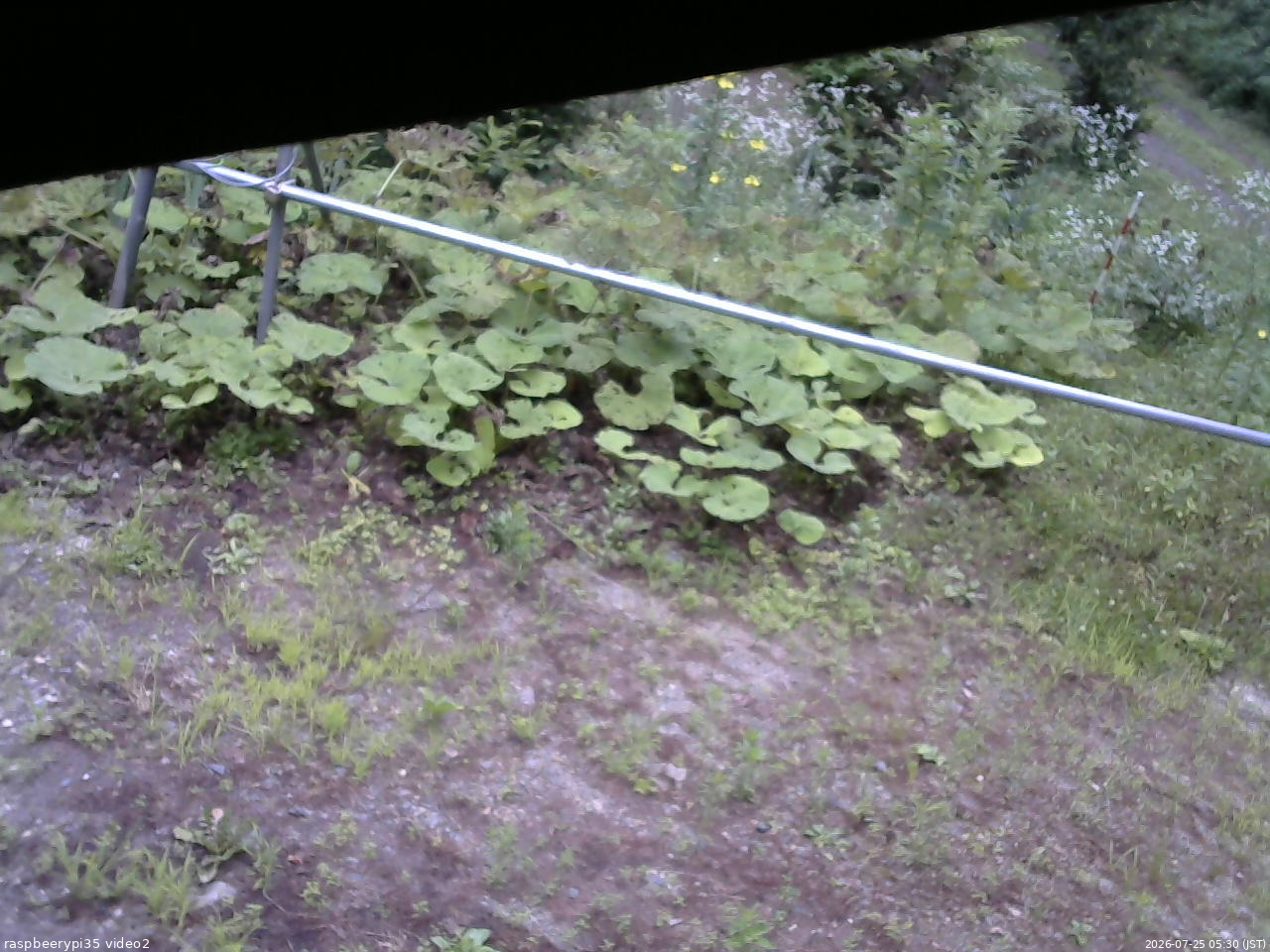 長野県菅平高原 ゆたか山荘 駐車場 2026/07/25 05:30