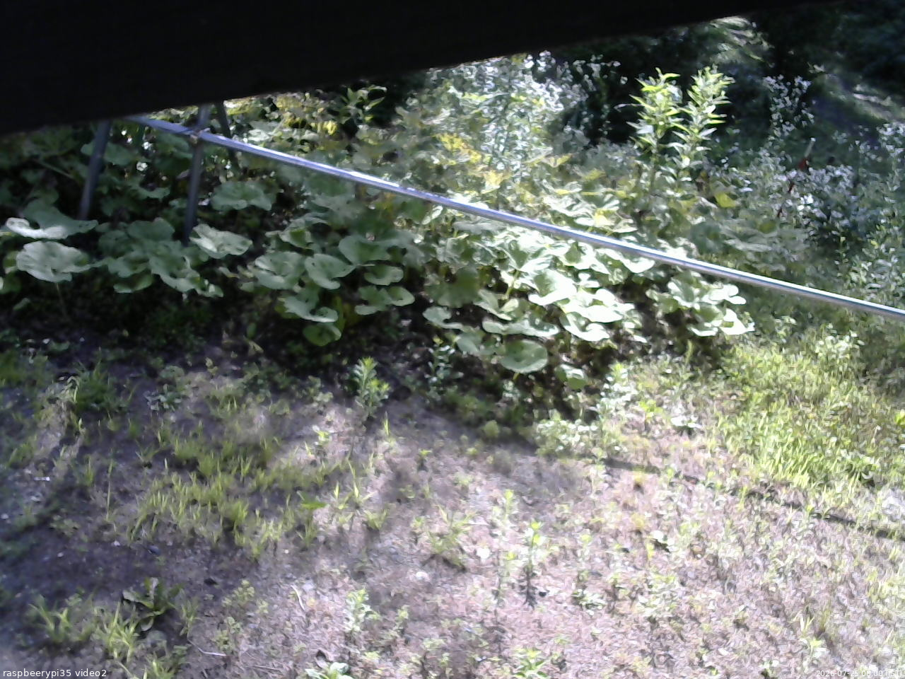 長野県菅平高原 ゆたか山荘 駐車場 2026/07/25 08:00