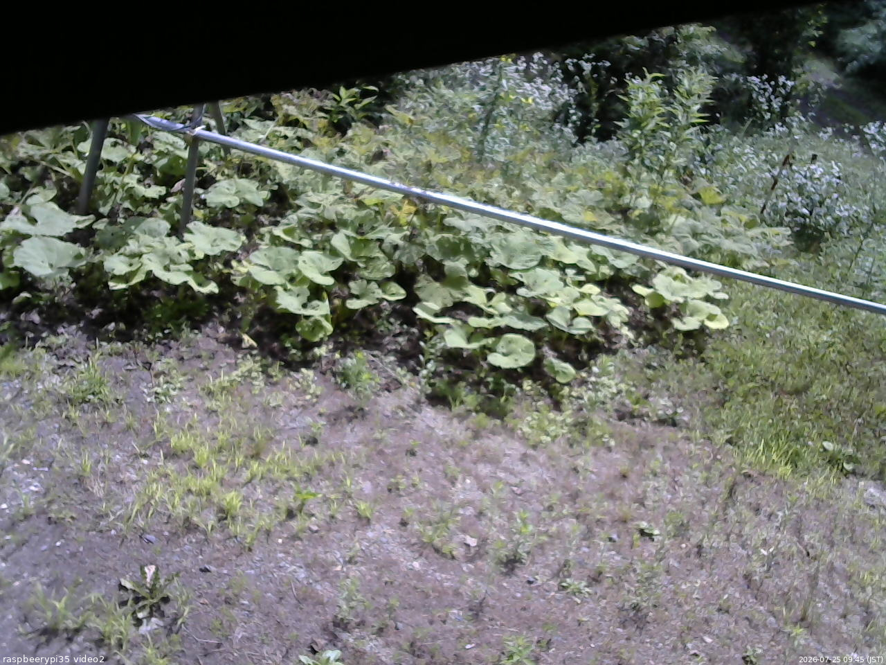 長野県菅平高原 ゆたか山荘 駐車場 2026/07/25 09:45