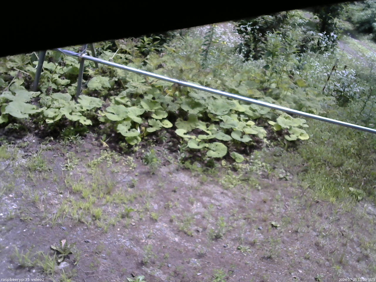 長野県菅平高原 ゆたか山荘 駐車場 2026/07/25 11:00