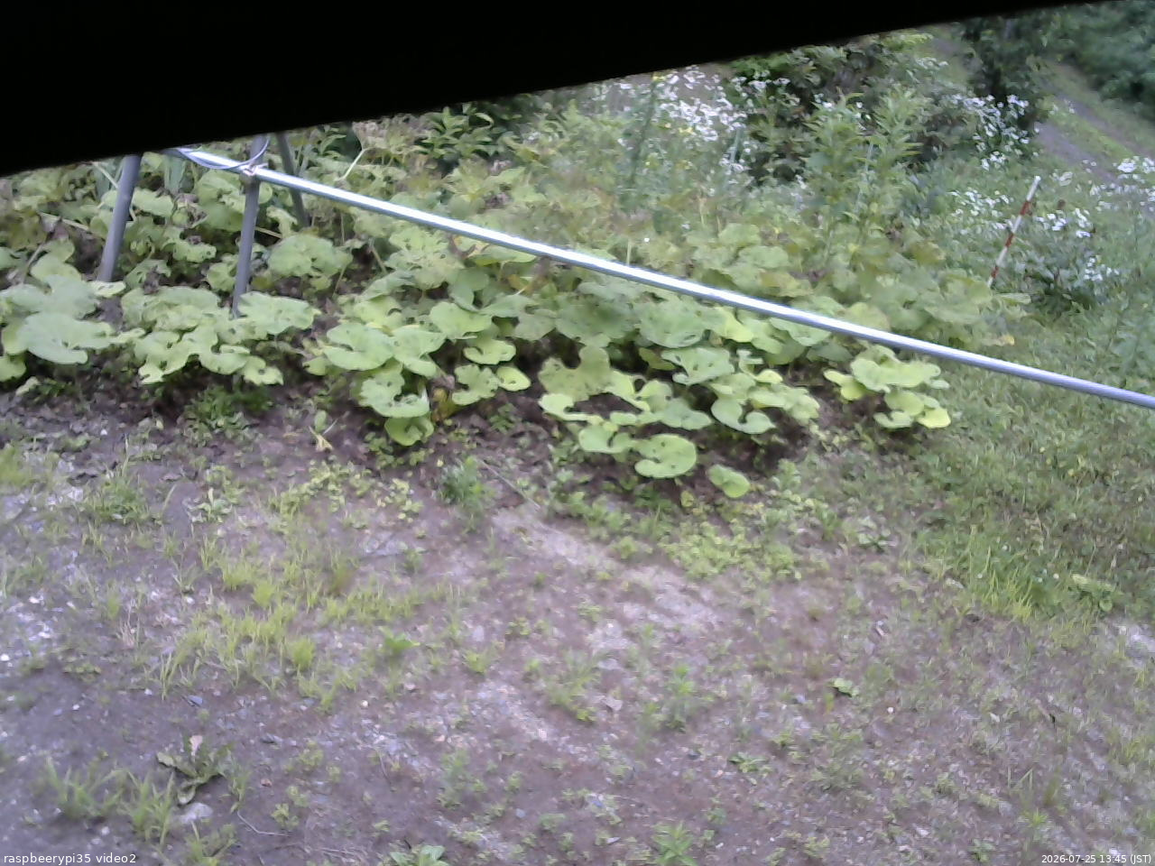 長野県菅平高原 ゆたか山荘 駐車場 2026/07/25 13:45