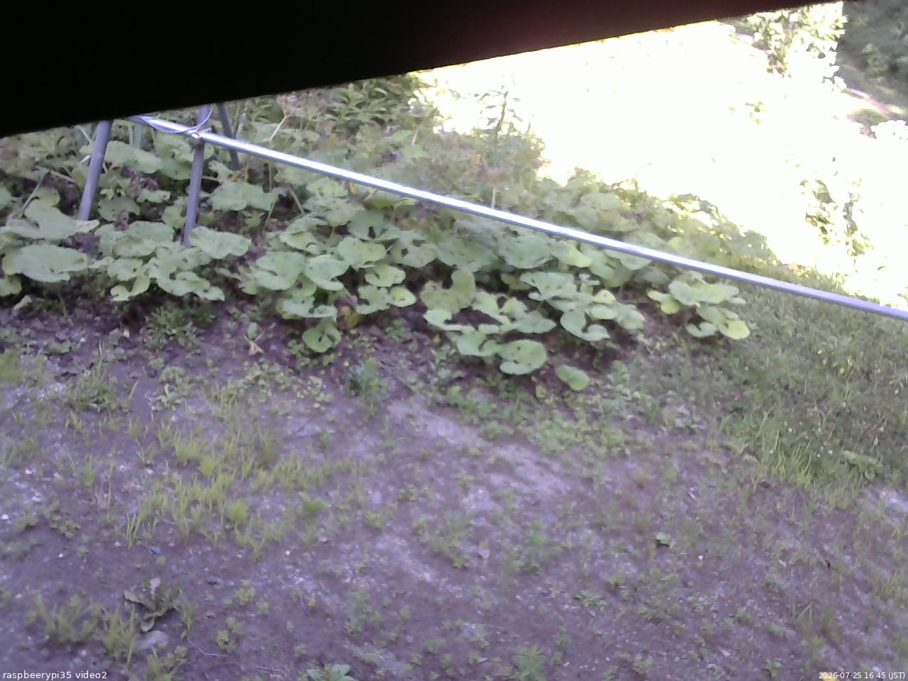 長野県菅平高原 ゆたか山荘 駐車場 2026/07/25 16:45