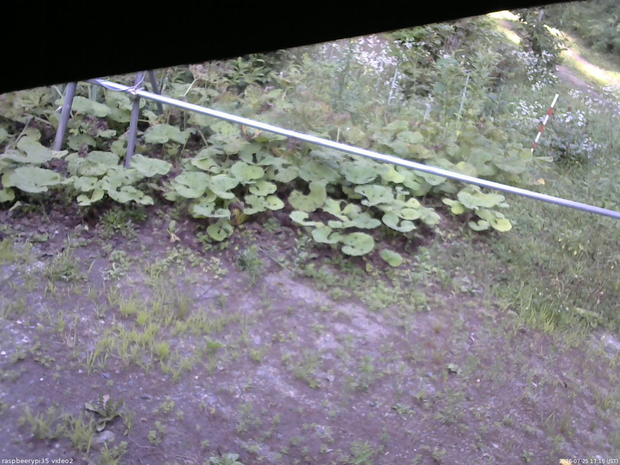 長野県菅平高原 ゆたか山荘 駐車場 2026/07/25 17:15
